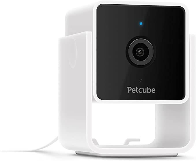 Pet cube camera