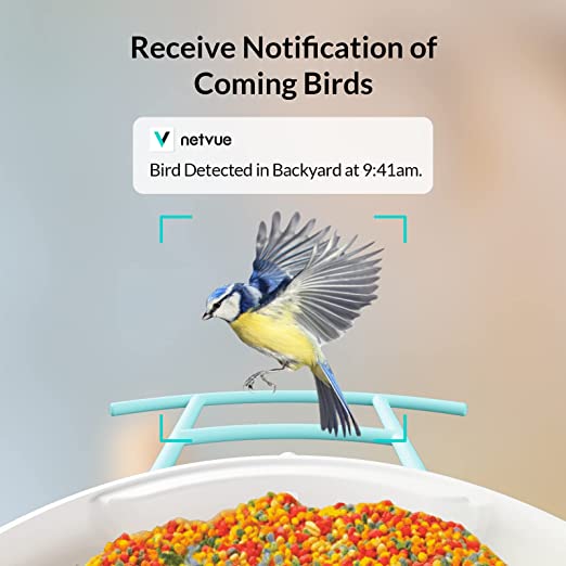 NETVUE Birdfy Lite notifications