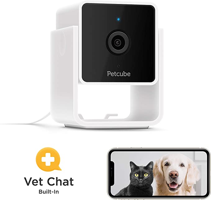 pet cube camera and app