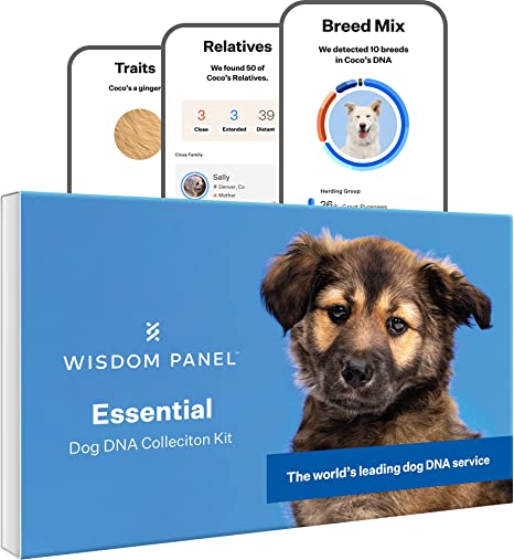 wisdompanel comactivate dog dna kit