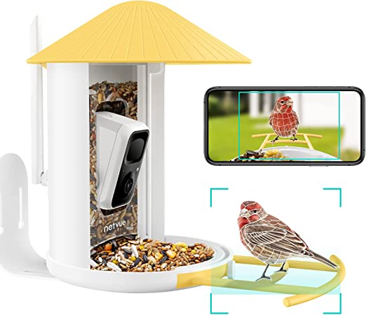 NETVUE Birdfy Lite