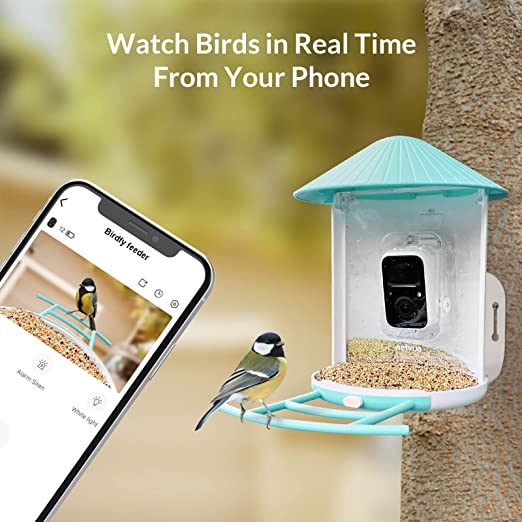 NETVUE Birdfy Lite real-time bird watching