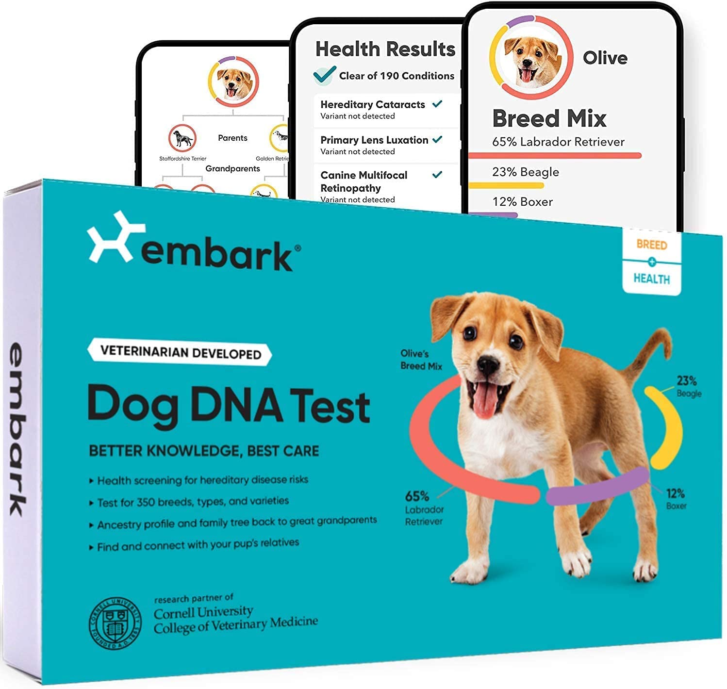 Embark Dog Breed and Health DNA Kit