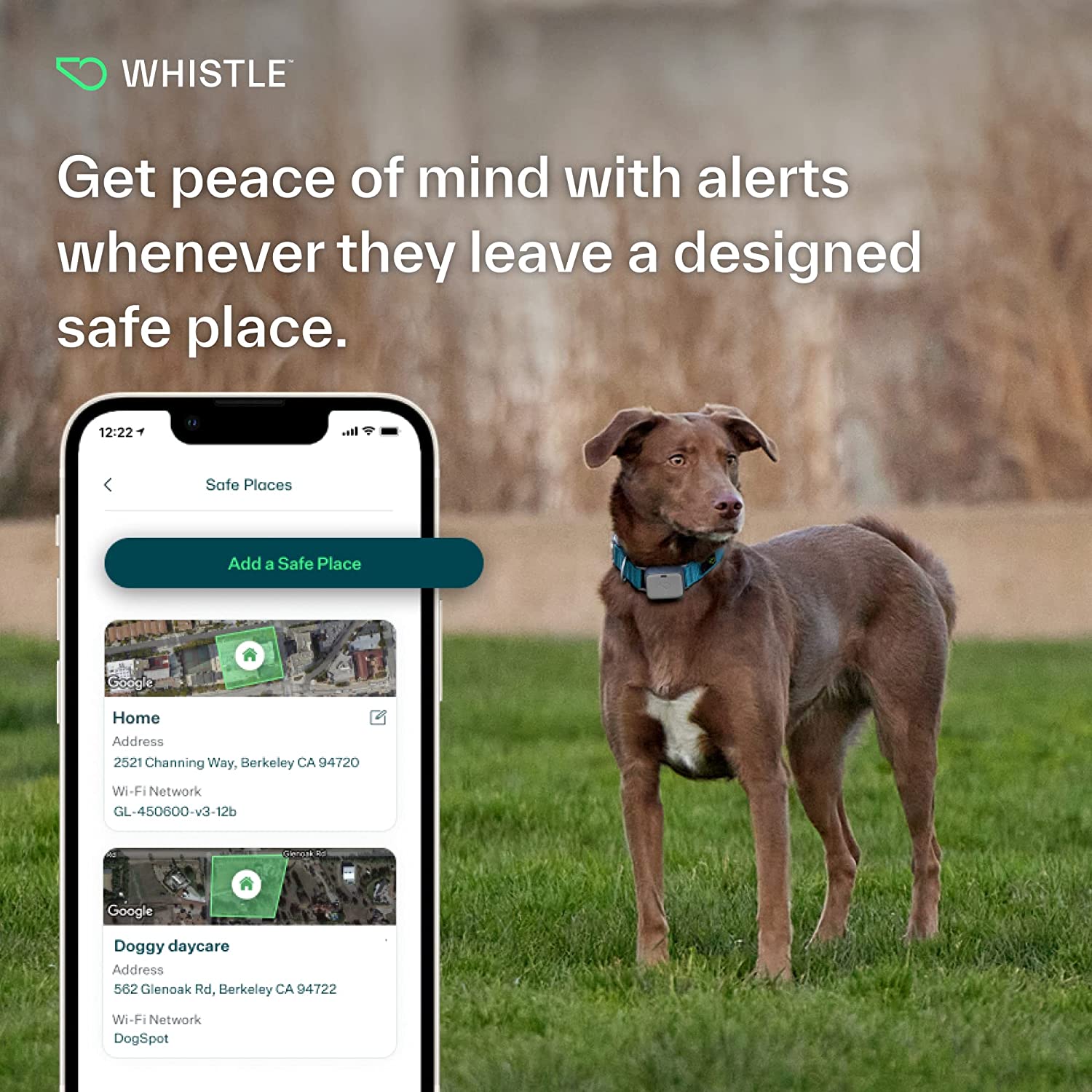 Whistle GO Explore GPS app helping your dog