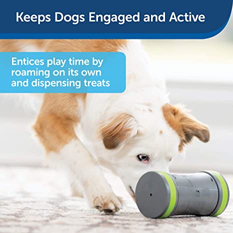 PetSafe Kibble Chase Roaming Treat Dropper