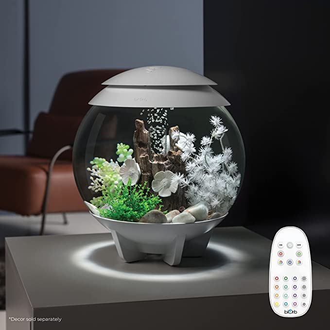 Halo 15 Aquarium with MCR Light in a room