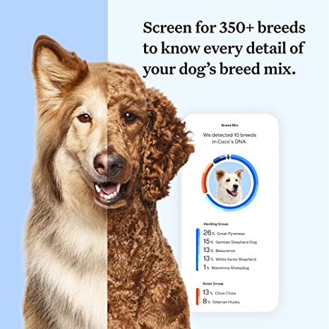 wisdompanel comactivate dog dna kit screening info