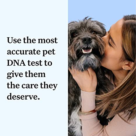 wisdompanel comactivate dog dna kit information