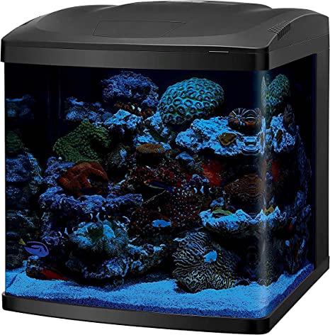 Coralife LED BioCube Aquarium Fish Tank Kit night time